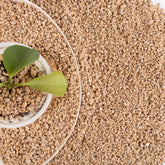 CJGQ Maifan stone rocks for succulents enhance drainage and soil balance.
