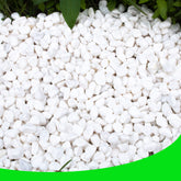 CJGQ White Pebbles for Plants – close-up view for elegant plant displays and vase filler