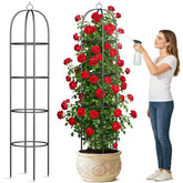CL FUN metal trellis supports climbing roses.