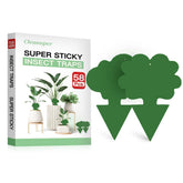 Cleanuper 58-pack flower trap captures gnats for indoor plant protection