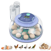 Cliseve egg incubator 360 degree window for clear embryo observation.