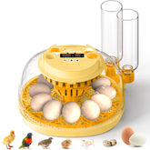 Cliseve egg incubator with 360° window for easy observation of developing eggs.