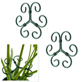CLLFUU Green Iron Monstera Support 4.1in stake for upright indoor growth.