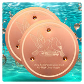 CNARIO copper birdbath disk bottom maintains clean water for birds.