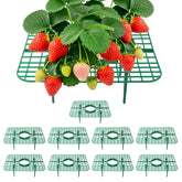CNNIK strawberry support grid square ten-pack keeps berries clean and elevated.