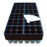 Coconut Oasis 1440-cell seedling trays, top view, organized germination and easy transplanting.