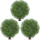Codree deer netting for shrubs protects undershrubs from deer and wildlife.