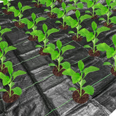 Codree weed barrier packaging contents ready for quick garden setup.