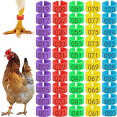 CoguZed chicken leg bands 16mm in yellow for quick flock ID.