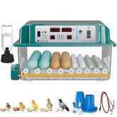CoInceptus 64-egg incubator front view with auto turning for even embryo development.