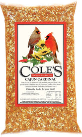 Cole's Cajun Cardinal Blend at feeder attracts cardinals with natural ingredients