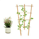 COLOtime 3Pack bamboo trellis 16in fan-shaped supports indoor climbing plants.