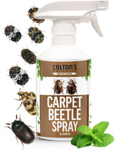 Colton's Naturals Carpet Beetle Spray bottle ready for quick room treatment