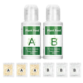 Connova hydroponic nutrients A and B bottles fuel robust indoor plant growth.