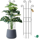 Coomin Monstera stake assembly showing sturdy metal construction for reliable support
