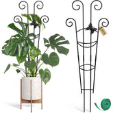 Coomin Monstera plant support assembly shows quick setup for indoor climbers.
