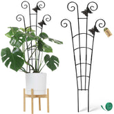 Coomin Monstera upper section provides a sturdy growth frame.