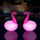 Cootway floating pool lights featuring two flamingos on water for festive pool decor