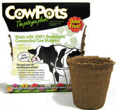 CowPots round 3-inch pack visual 1: seed starting with early growth.
