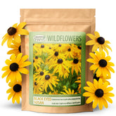 Created By Nature Black-Eyed Susan seeds packet showing bright blooms for sunny borders.