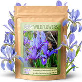 Created By Nature Wild Iris seeds pack for easy borders and color