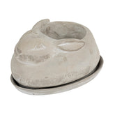 Creative Co-Op cement rabbit planter with saucer, side view adds whimsy to patios.