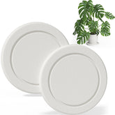 Creproly planter saucer in white showing instant moisture absorption under a thriving plant