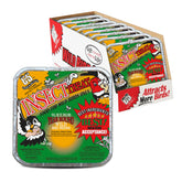 C&S Insect Suet Treat woodpecker close-up, high-energy snack supports foraging and migration.