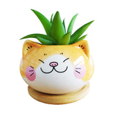 Cuteforyou yellow ceramic cat pot perfect for small succulents on the desk.