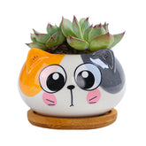 Cuteforyou cat-shaped ceramic succulent pot with bamboo tray for desk decor