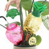 Cynevaris watering globes pineapple design deliver steady root moisture for thriving indoor plants