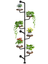 CYXPHION C5 plant stand by the window maximizes sunlight exposure.