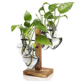 CYZglass love bulb vase on wooden stand showcases vibrant colors for indoor decor.