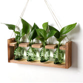 CYZglass skull propagation station with glass vases for easy plant observation