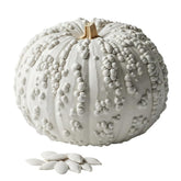 CZ Grain 10-warty-white Specter seeds packaging for fall planting