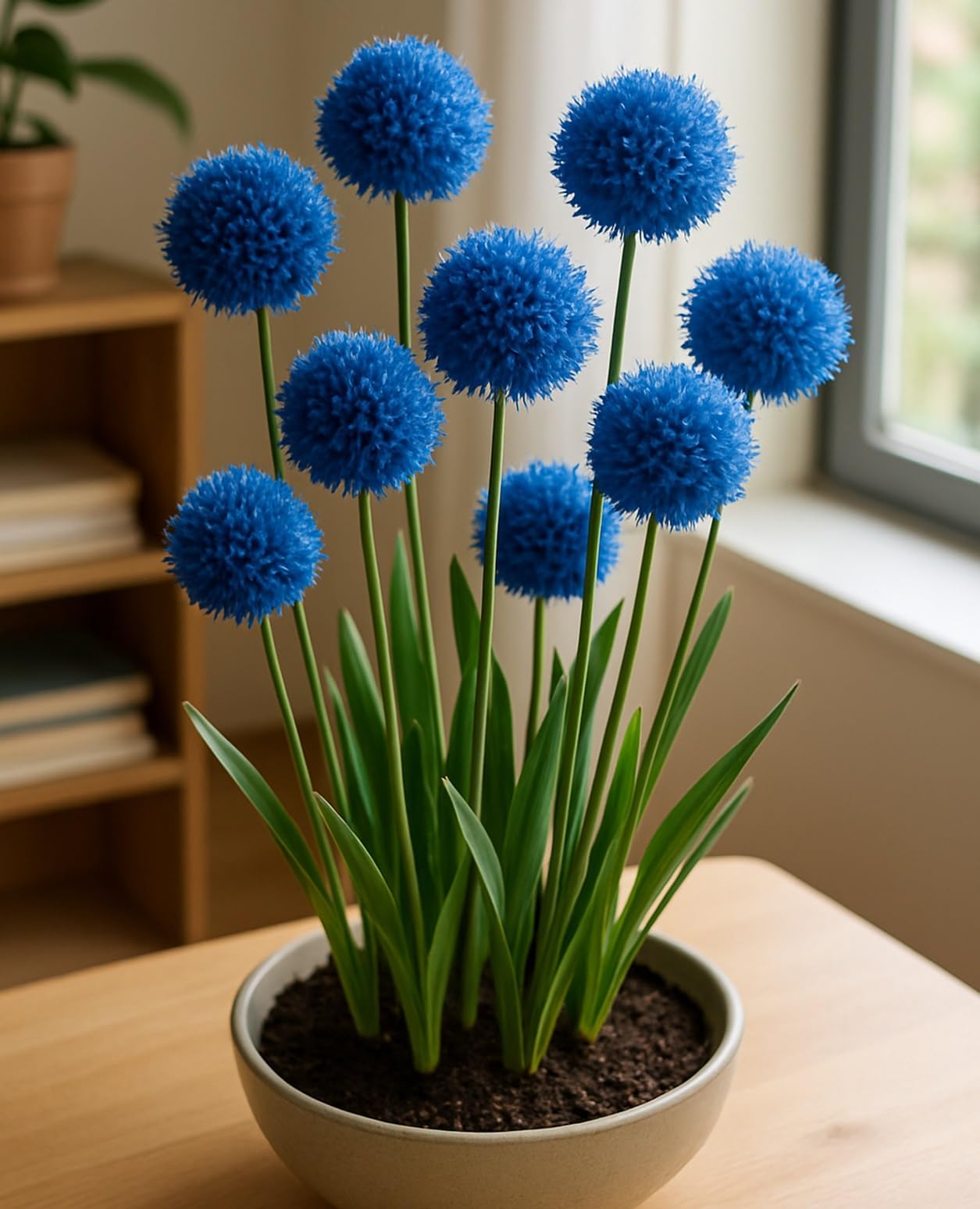 CZ Grain blue allium bulbs deliver a dramatic indoor bloom.