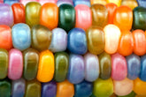 CZ Grain Glass Gem seeds pack with translucent kernels, ideal for planting and display