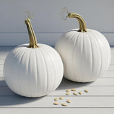 CZ Grain Polar Bear pumpkin seeds packet for premium planting of rare white pumpkins
