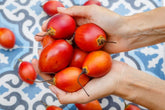 CZ Grain tree tomato seeds packet ready for home garden planting