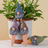 CZWL&HG terra spikes in soil provide steady moisture for healthy indoor and outdoor plants.