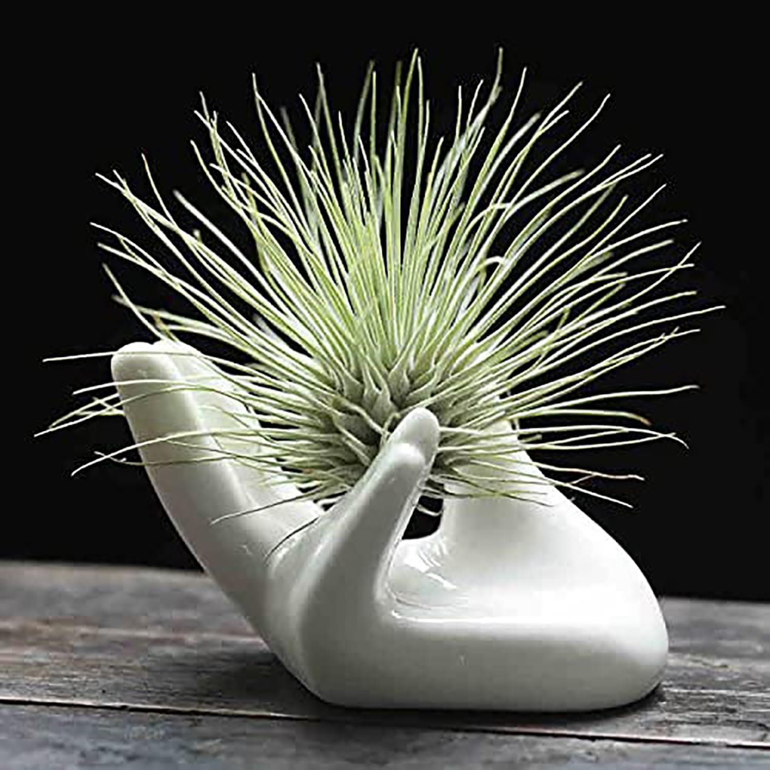 Dahey mini air plant holder, white ceramic hand, ideal desk decor.