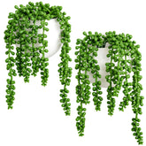Dahey wall planters with string-of-pearls hanging for easy vertical greenery