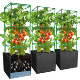 DECOHS tomato cage assembly shows a sturdy, adjustable frame for vertical growth.