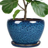 Deep Dream 10-inch planter in peacock blue glaze for stylish indoor decor.