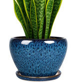Deep Dream 8 inch plant pot front view showing durable ceramic design for indoor displays