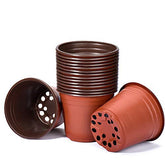 Delxo 50pc 6-inch nursery pots ready for seed starting and transplanting indoors.