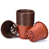 Delxo 6inch nursery pot front view, ideal for seedling growth and display.