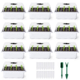 Delxo seed starter kit with humidity domes enables precise moisture control for better germination.