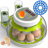 DEZHXHE egg incubator front view, ideal for home hatching of chicken, duck, and quail eggs.