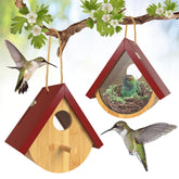 DFANG hummingbird house window view lets your family observe birds safely.